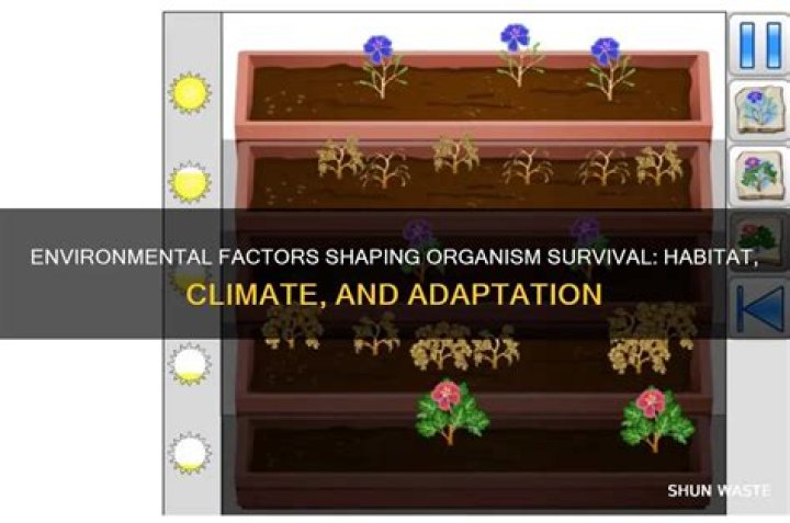 how does the environment determine where an organism can survive