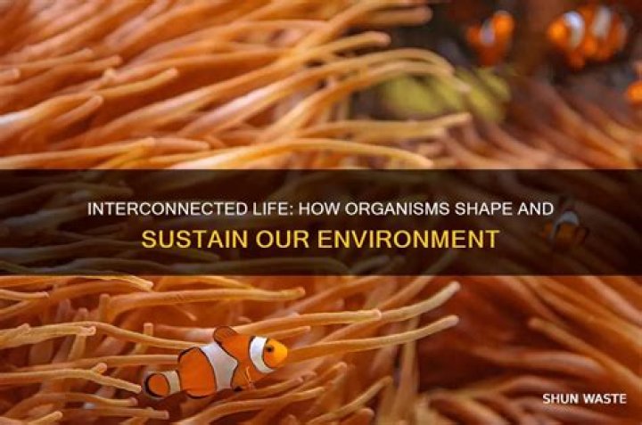 how does the interdependence of organisms impact the environment