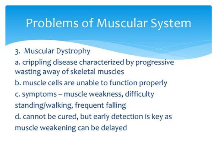 how does the muscular system interact with other systems