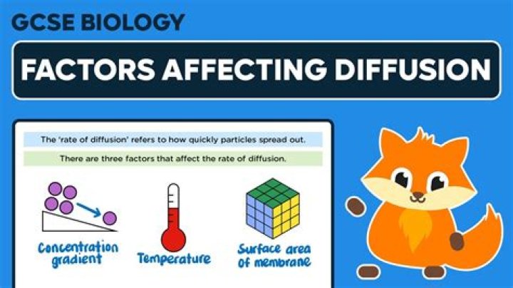 how does the surface area of a rock affect the rate at which it weathers?