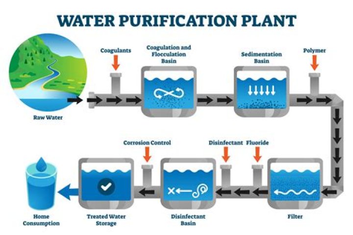 how does the water cycle purify water