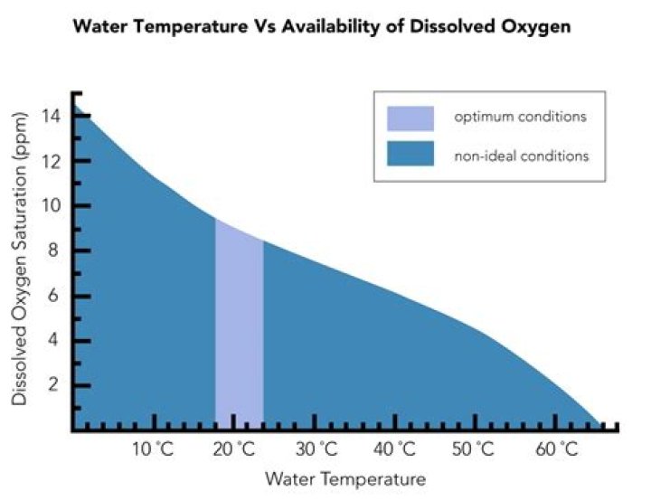 how does water temperature affect water quality