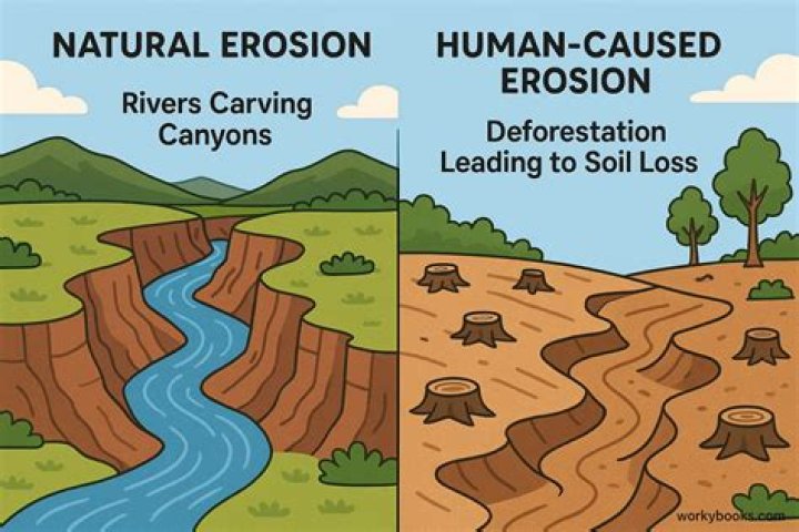 how have humans caused erosion provide at least two examples