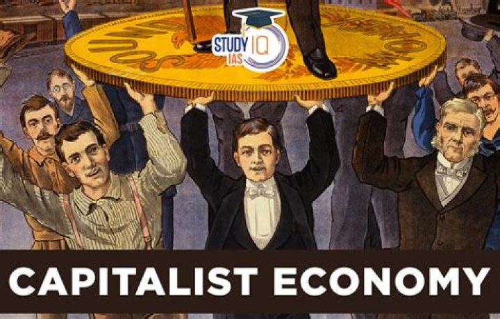 how important is the division of labor to a capitalist economy?