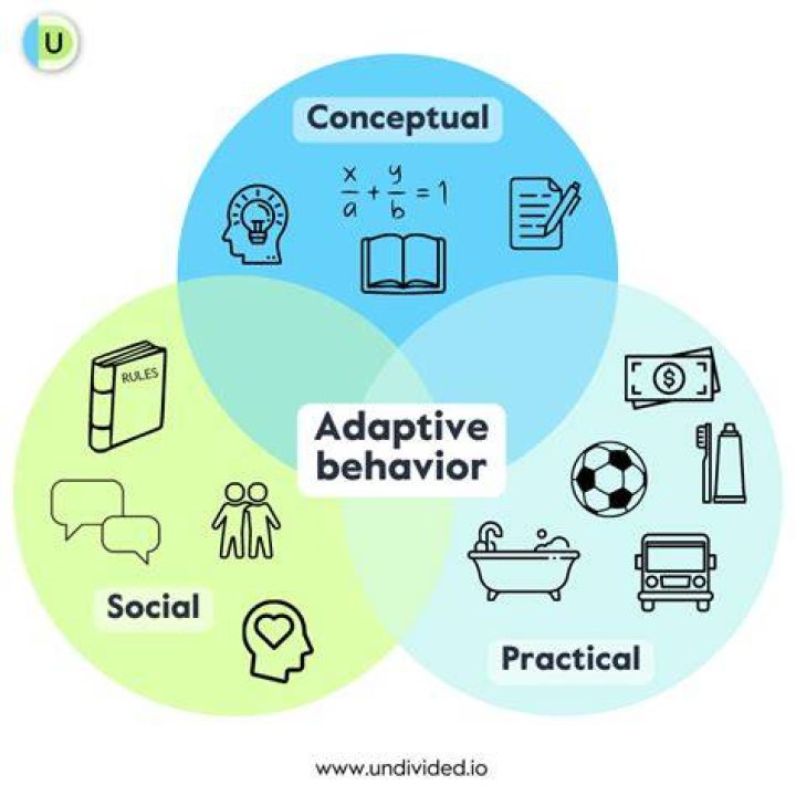 how is adaptive behavior typically assessed