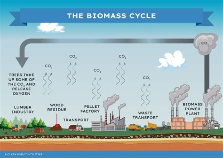 how is biomass stored - Lisbd-net.com