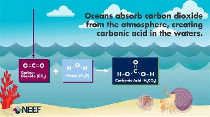 how is carbonic acid responsible for the formation of some caves?