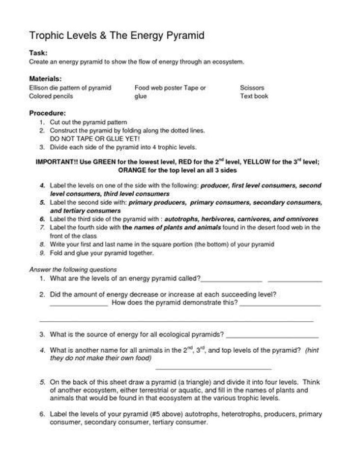 how is energy used in organisms worksheet answers
