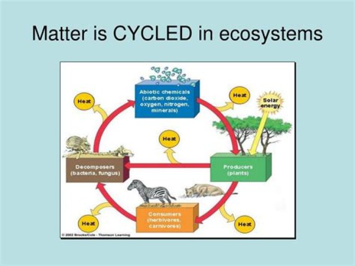 how is matter recycled in an ecosystem