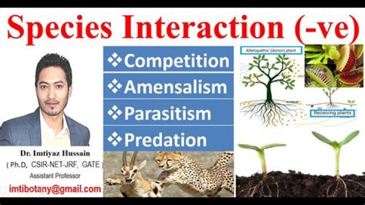 how is predation different from competition