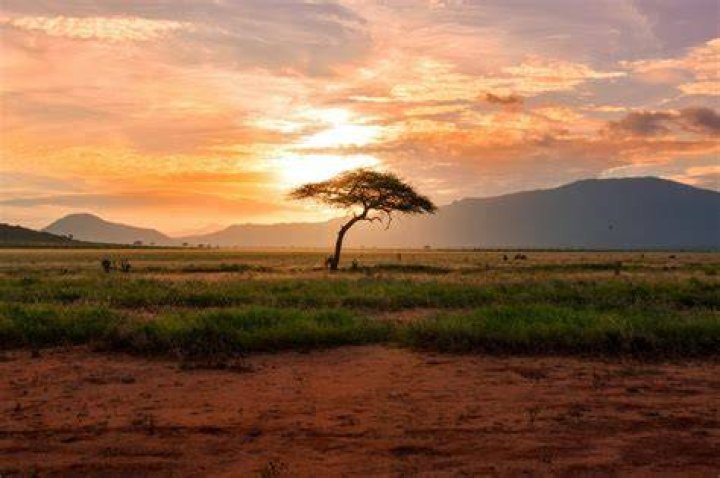 how is the african continent diverse