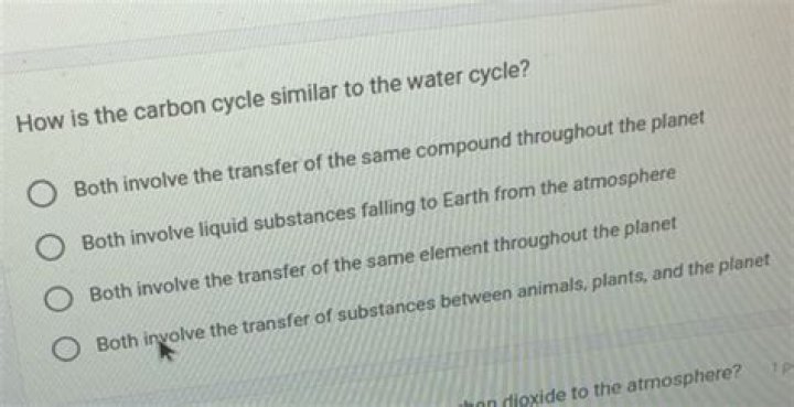how is the carbon cycle similar to the water cycle