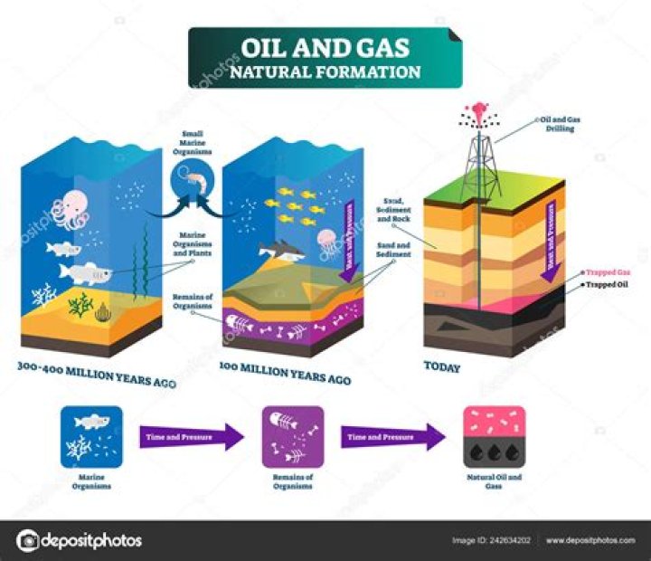 how is the formation of natural gas related to the formation of coal and petroleum