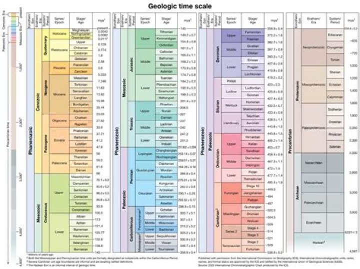 how is the geologic column used in relative dating