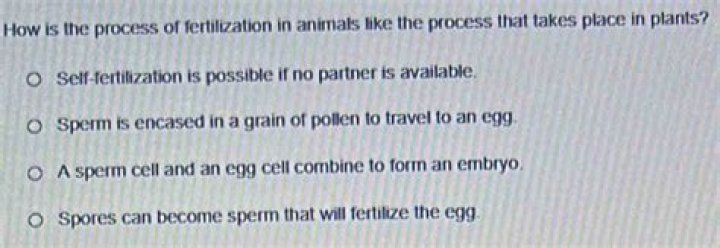 how is the process of fertilization in animals like the process that takes place in plants?