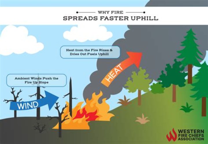 how long does it take for a fire to spread