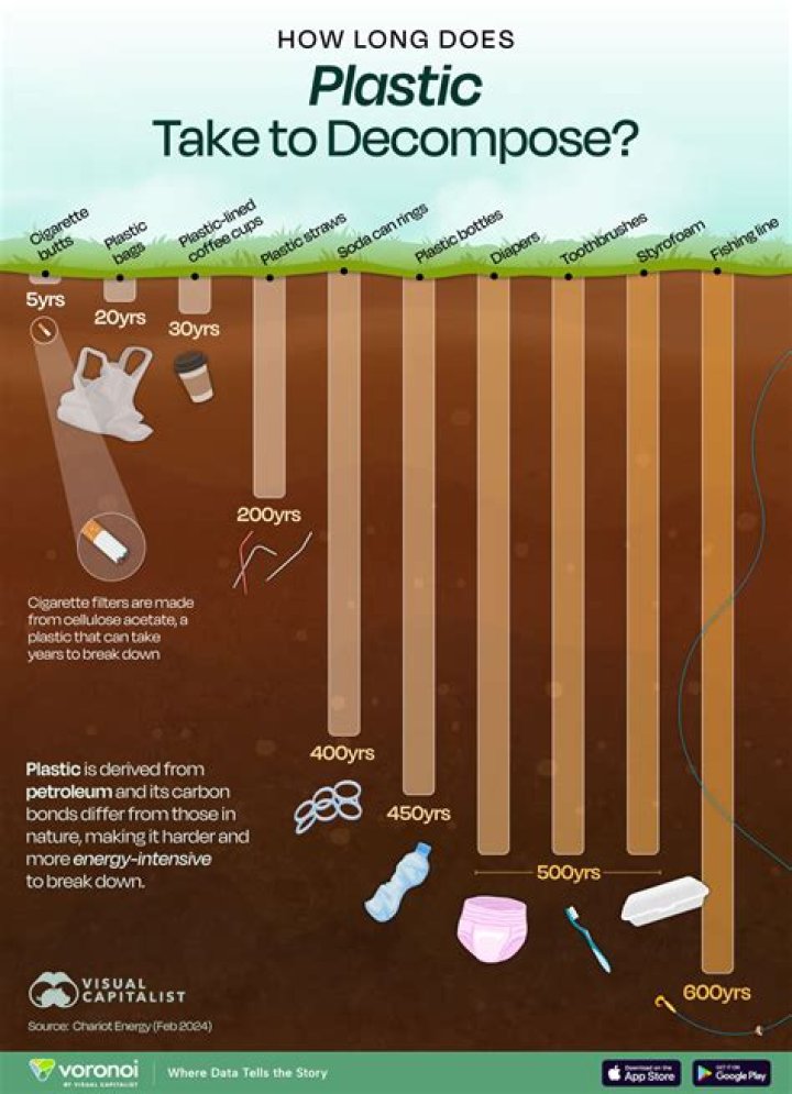 how long does it take for paper bags to decompose