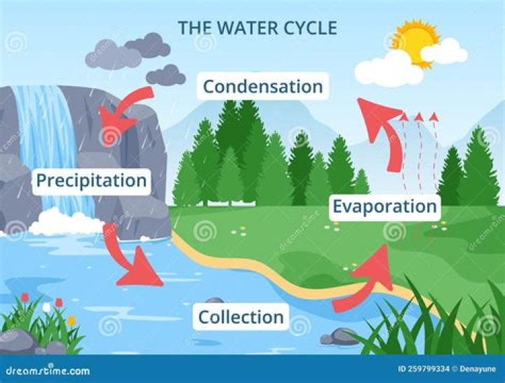How Long Does It Take For Water To Evaporate? What Are The 4 Stages of The Water Cycle? The Process of Evaporation