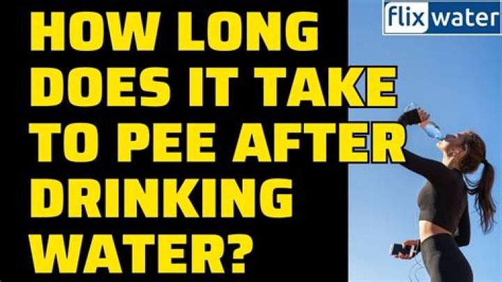 how long does it take for water to go through you