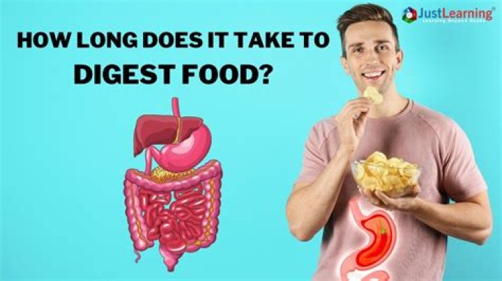 how long does liquid take to digest