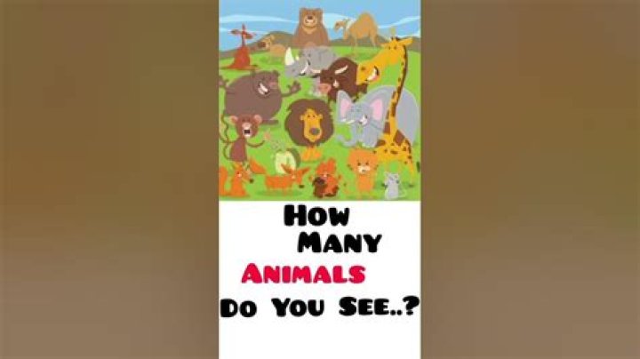 how many animals do you see 4 7 8 12