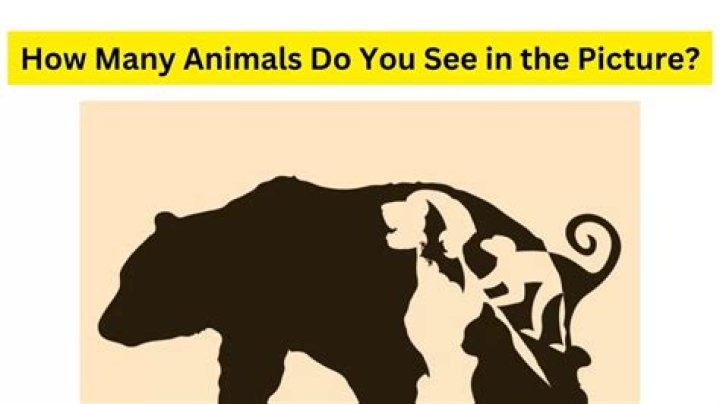 how many animals do you see
