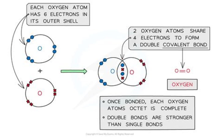 how many atoms can oxygen bond with