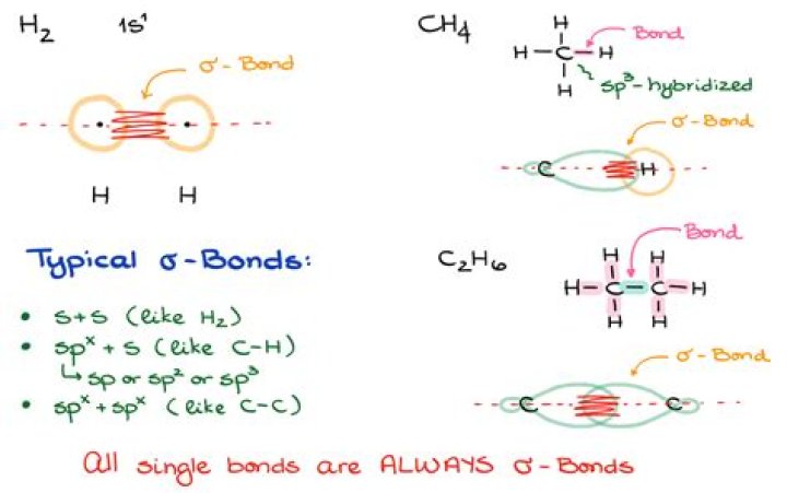 how many bonds can neon form