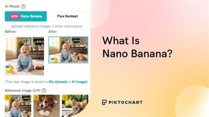 how many is nano - Lisbd-net.com