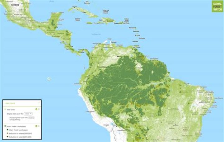 how many rainforests are in the united states