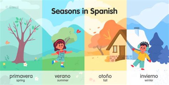how many seasons of the following is there