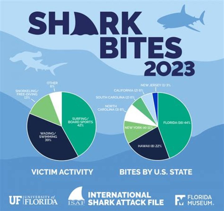 how many shark teeth - Lisbd-net.com