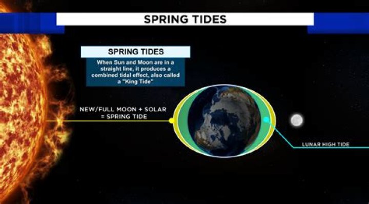 how many spring tides are there in a month