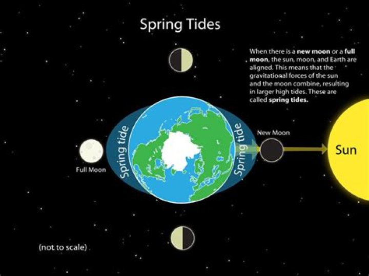 how many spring tides in a month