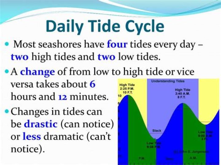 how many tides occur in a day
