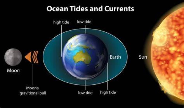 how many times does high tide occur in a day