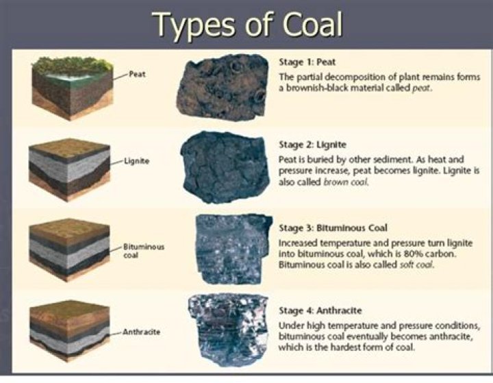 how many types of coal are there