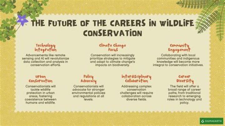 how much do conservationists make