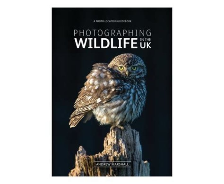 how much does a wildlife photographer make