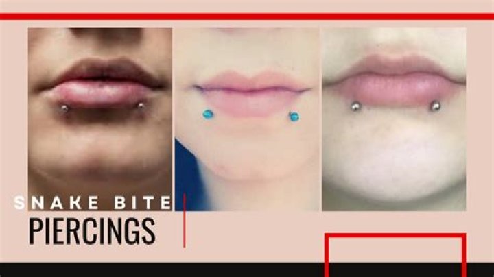 how much is a spider bite piercing
