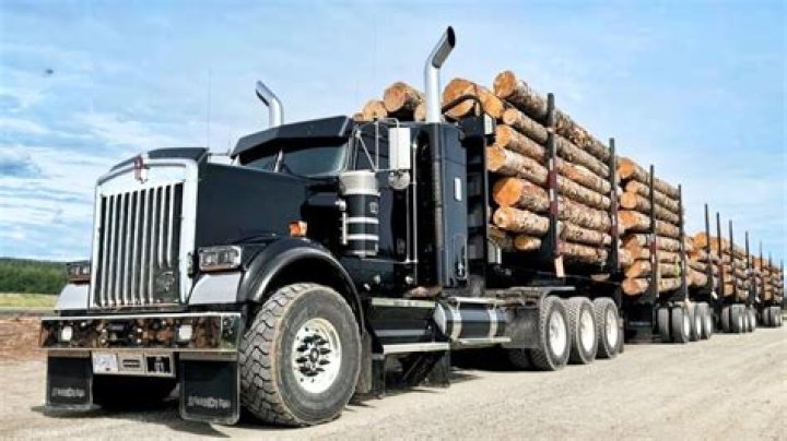 how much wood.does a logging truck hold