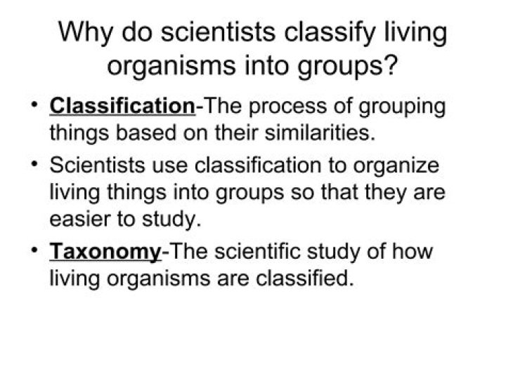 how scientists classify organisms - Lisbd-net.com