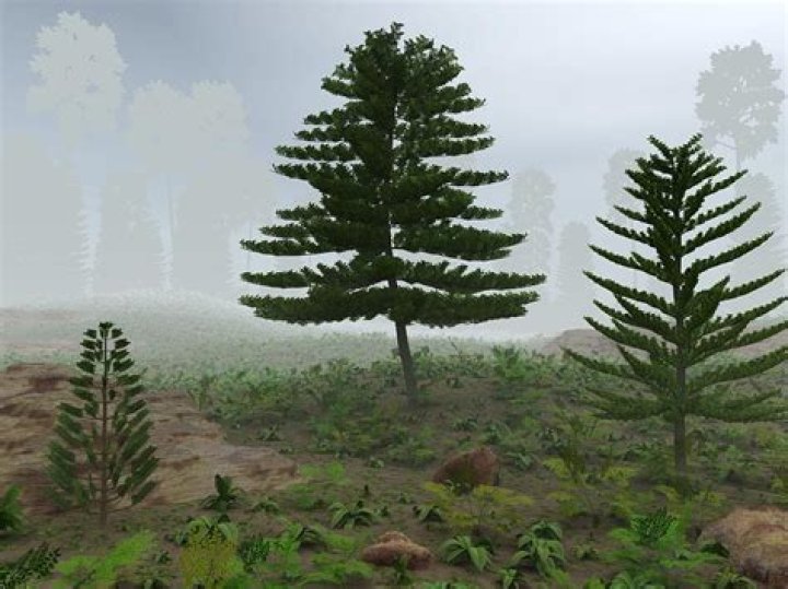 how tall were trees in prehistoric times