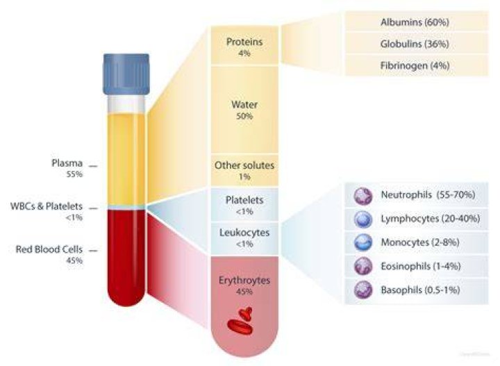 how thick is blood compared to water