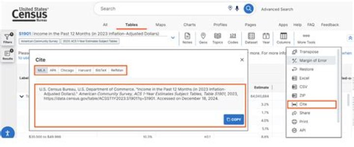 how to cite the us census bureau