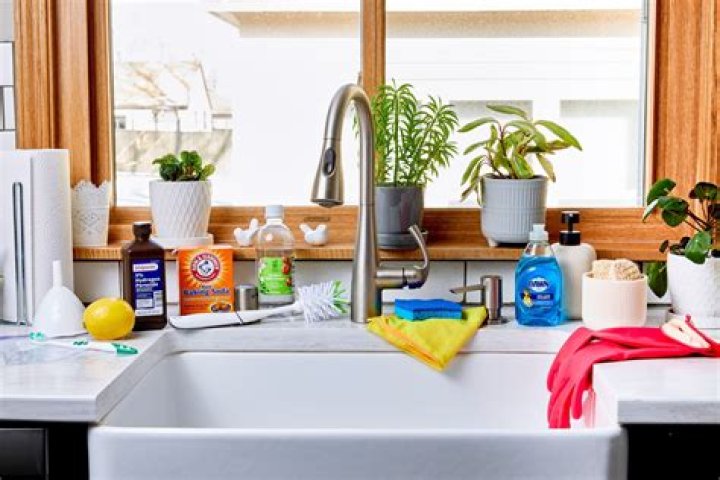 how to clean a lake naturally