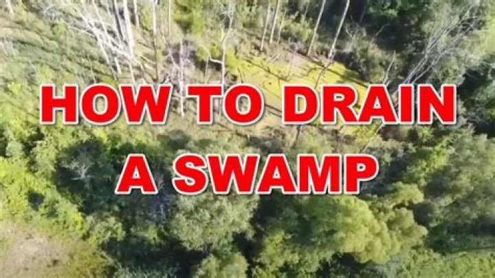 how to drain swampy land