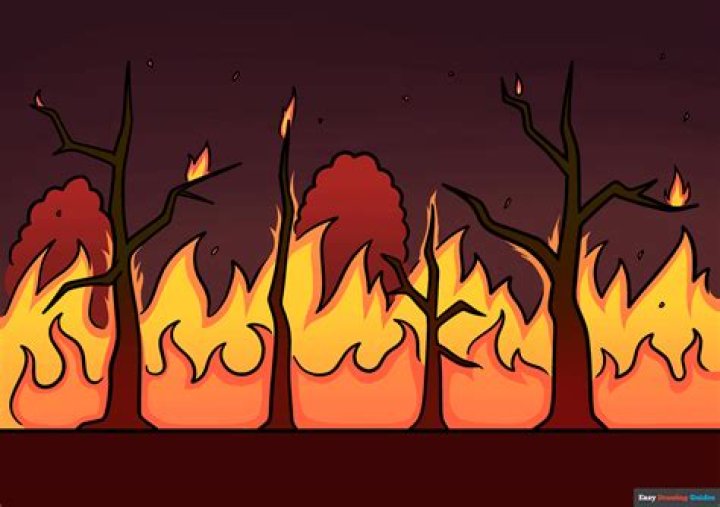 how to draw a forest fire