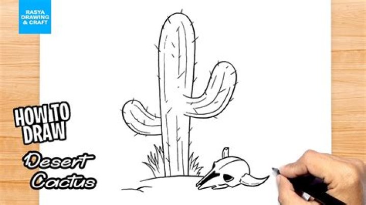 how to draw desert plants