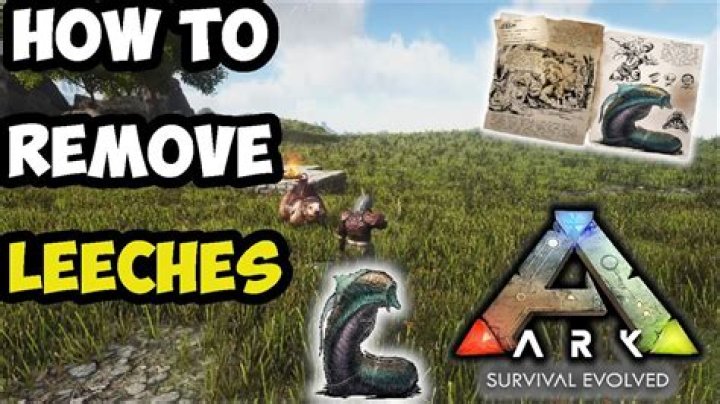 how to get leech off ark